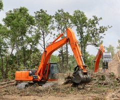 Servicii defrisare, toaletare si curatare - 6