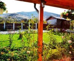 Cazare la Pensiunea Dorina - 8