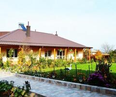 Cazare la Pensiunea Dorina - 9