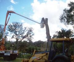 Servicii defrisari terenuri - cu utilaje specializate.