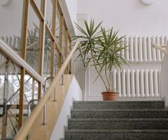 Servicii de curatenie in scari de Bloc